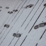 steps_music